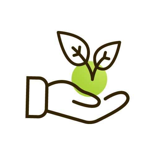 voluntariado